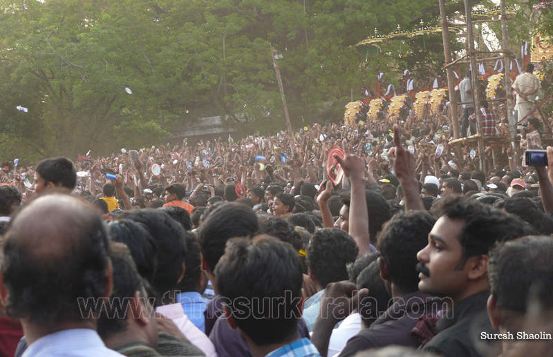 thrissur-pooram-2010 (38)